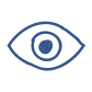Icon of an eyeball